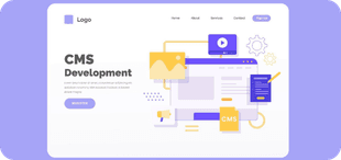 CMS Development